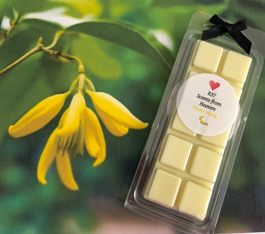 Ylang Ylang